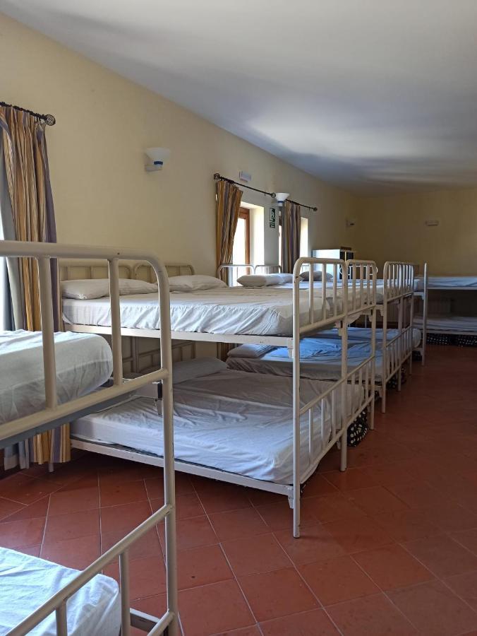 Albergue De Сос-дель-Рей-Католико Экстерьер фото